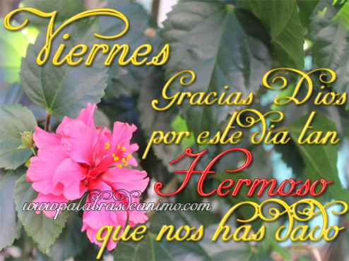 Viernes-gracias-por-este-dia-hermoso-que-nos-has-dado-palabras