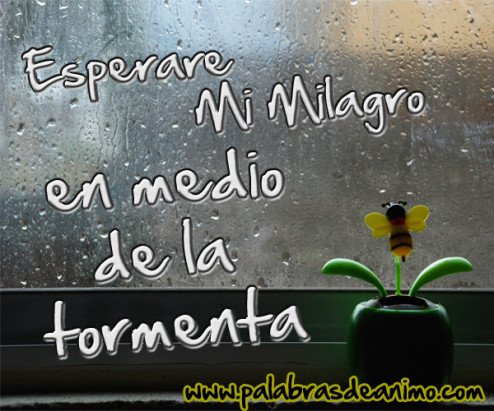 Esperare mi milagro en medio de la tormenta