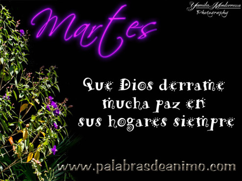 Martes-Que-Dios-derrame-mucha-paz-en-sus-hogares