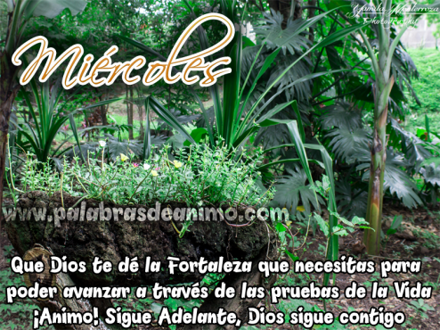 Miercoles-que-Dios-te-de-la-fortaleza
