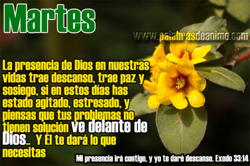 Martes-la-presencia-de-Dios-trae-descanso