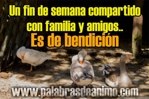 Un-fin-de-semana-compartido-con-familia-y-amigos-palabras